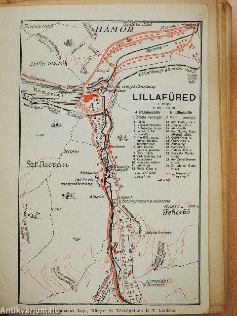 Bükk (rossz állapotú)