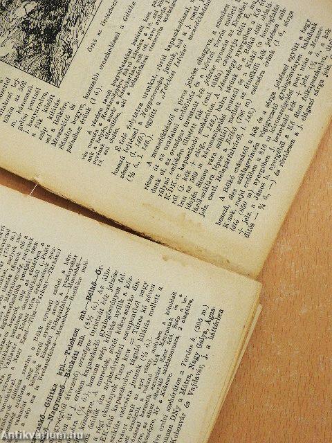 Bükk (rossz állapotú)