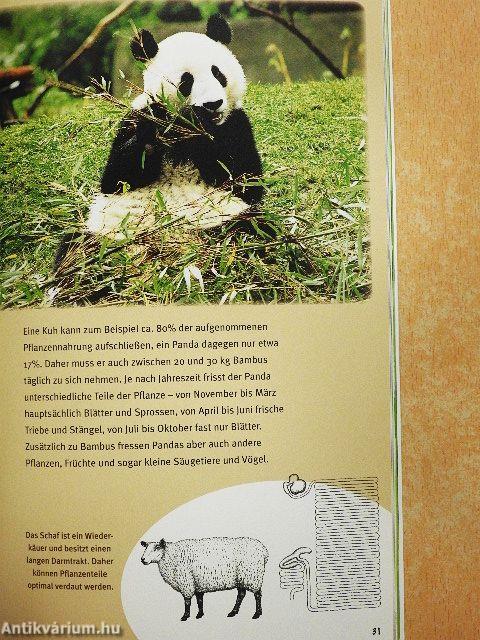 Der Grosse Panda