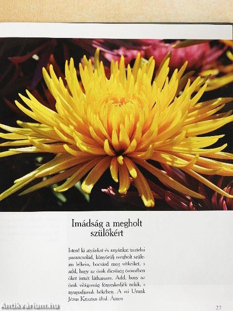 Égbe szálló fohászok