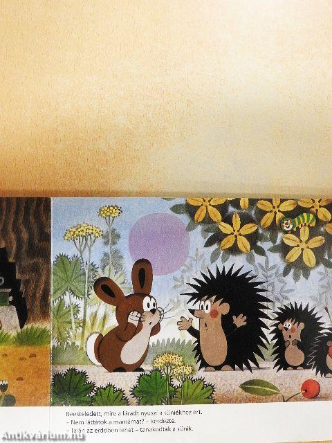 A kisvakond és a nyuszi