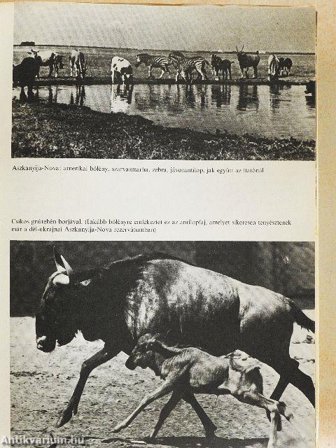 Mi és az állatok