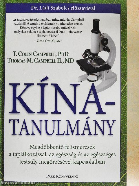 Kína-tanulmány