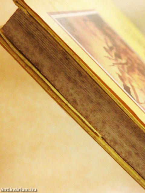 Újkori bölcsek nyomában