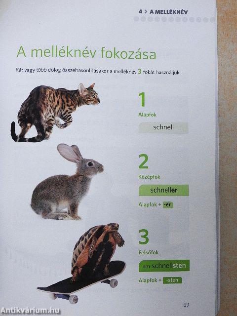 PONS Képes nyelvtan - Német