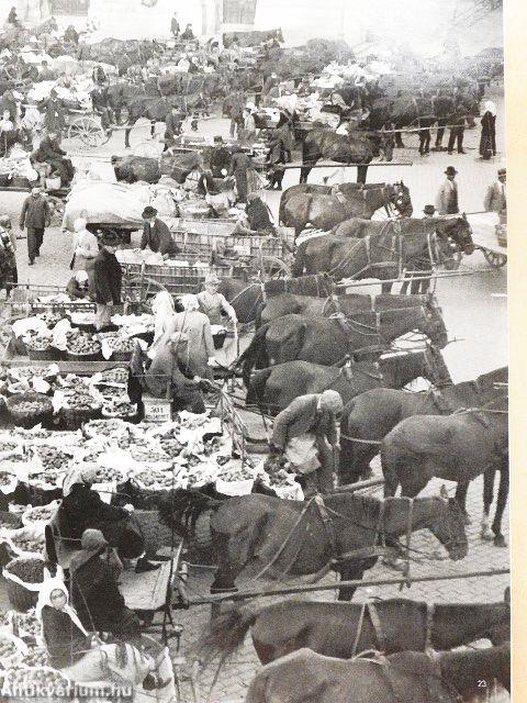 BBC History 2019. október