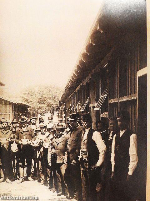 BBC History 2019. február