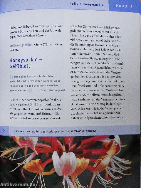 Bach-Blüten für innere Harmonie