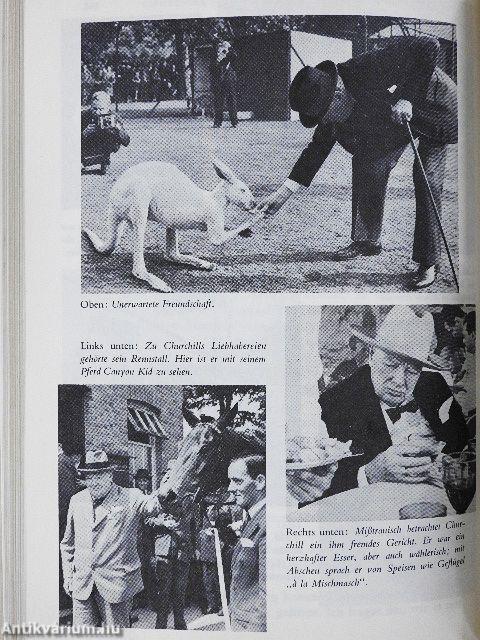 Der Präsident/Wie Weit bis Bethlehem?/Churchill - Der Kampf ums Überleben 1940/65/Auf Safari