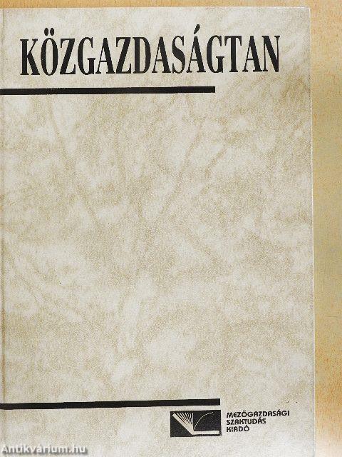 Közgazdaságtan