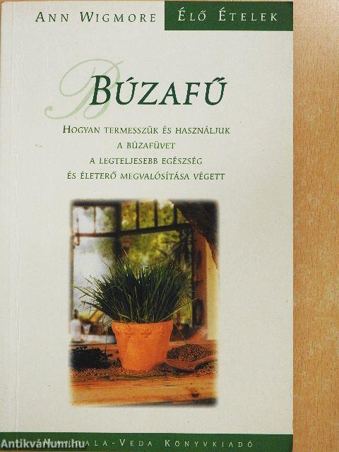 Búzafű