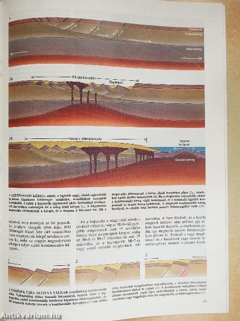 Tudomány 1988., 1990., 1991. (vegyes számok)(11 db)