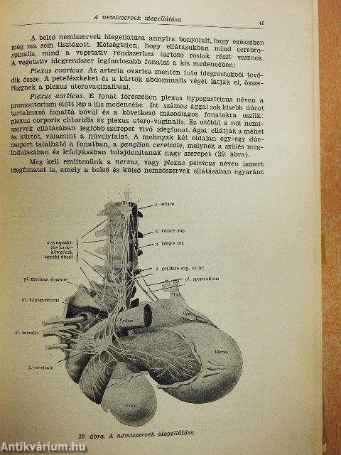 A szülészet tankönyve