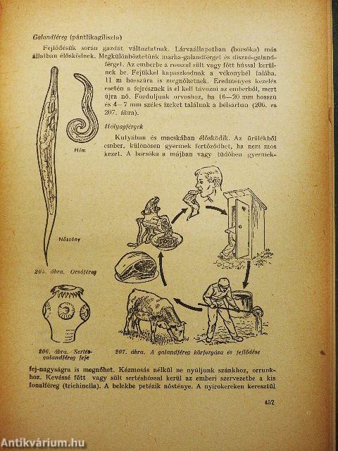 Kertészeti ismeretek