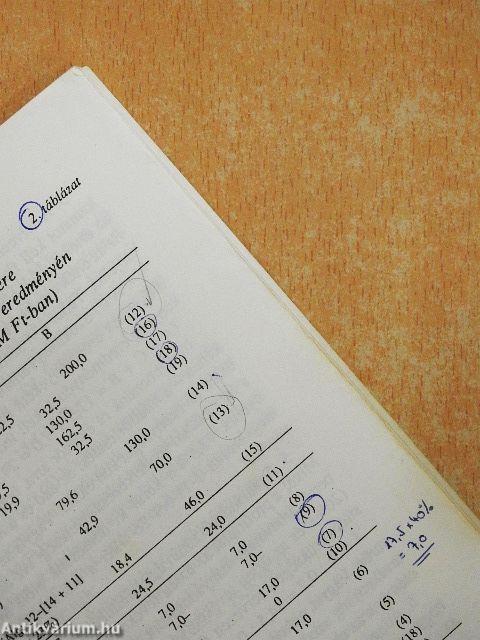 Vállalkozástan II.