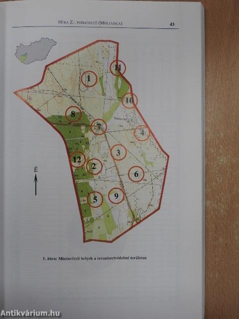 A Látrányi Puszta Természetvédelmi Terület élővilága