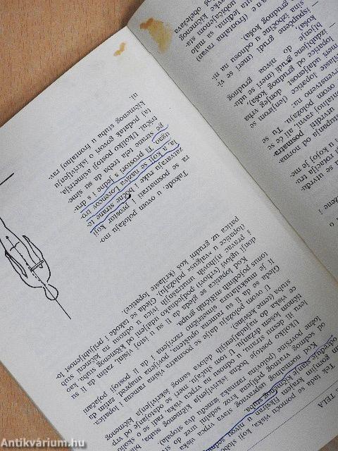 Korektivna gimnastika