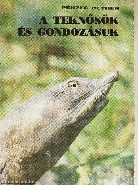 A teknősök és gondozásuk