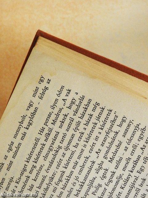 A tizenharmadik szoba