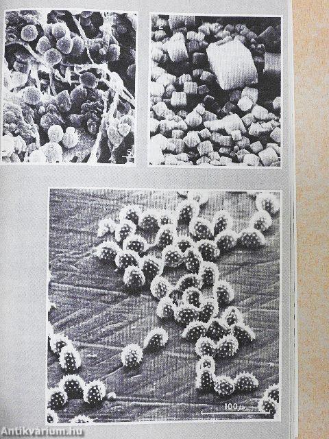 Galaktika 17.