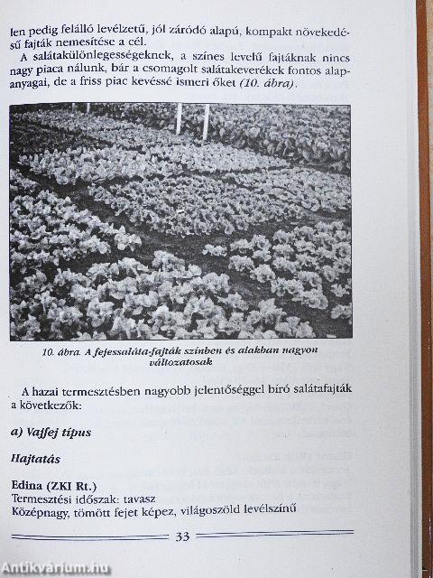 Levélzöldségfélék