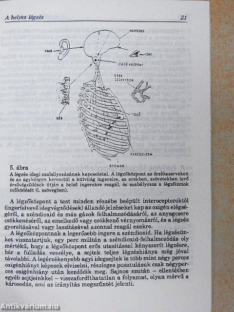 A légzés gyógyító hatása