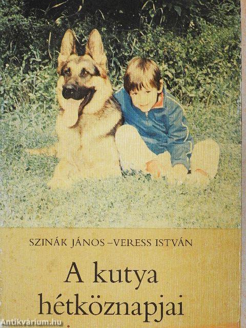 A kutya hétköznapjai