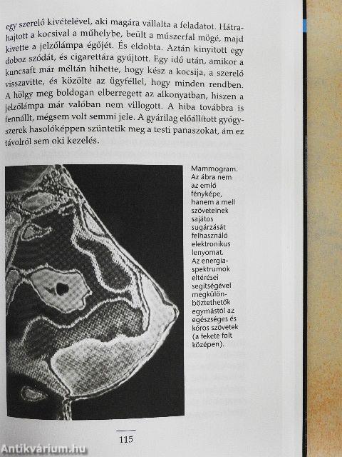 Tudat: a belső teremtő