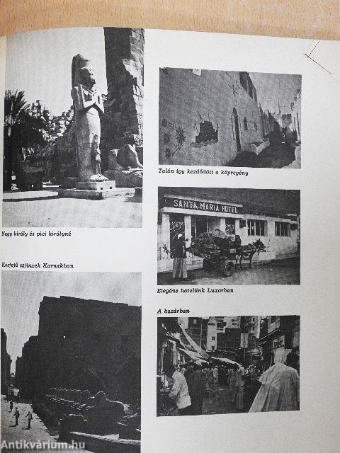 Kalandozások négy földrészen