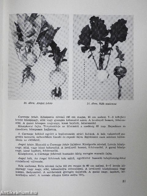 Zöldségtermesztés 2.