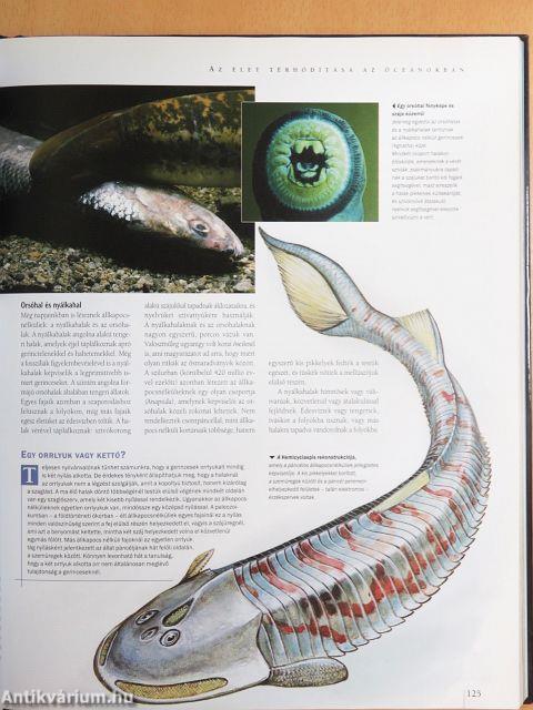 A Föld csodálatos története