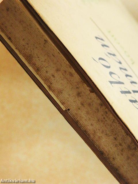 Írótársak között