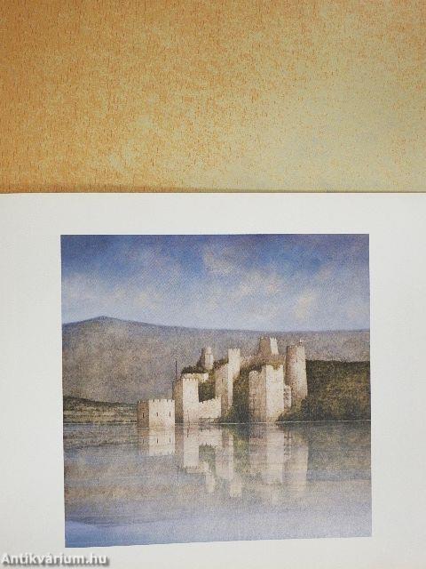 Ana Kapor - Vladimir Pajevic