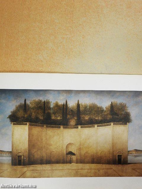 Ana Kapor - Vladimir Pajevic