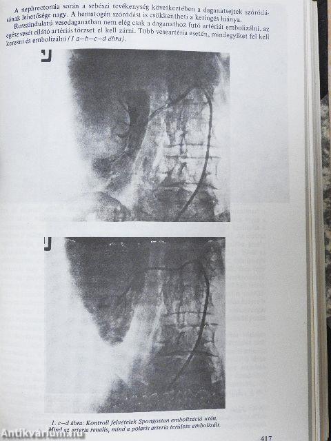 Orvosképzés 1980-1981. január-december