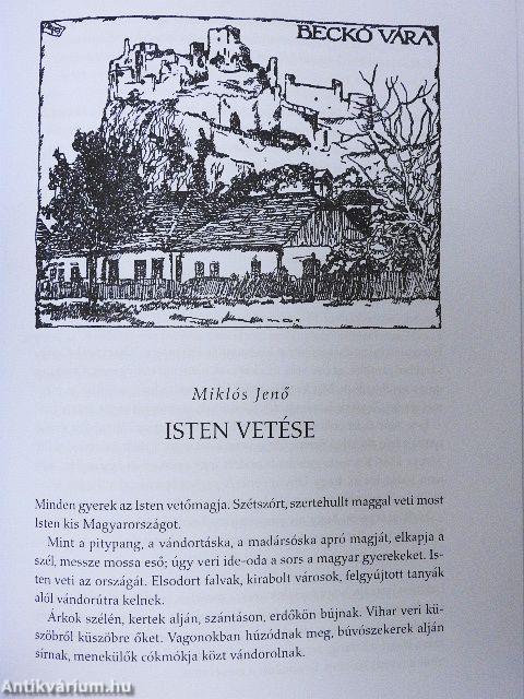 Vérző Magyarország