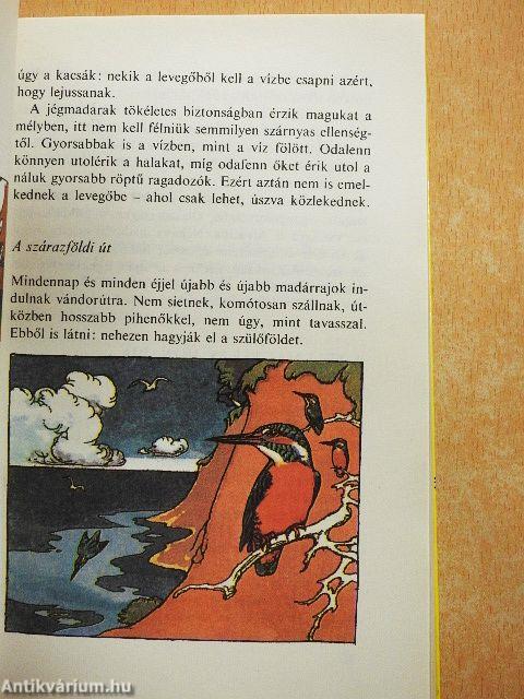 Kisdobosok évkönyve 1977