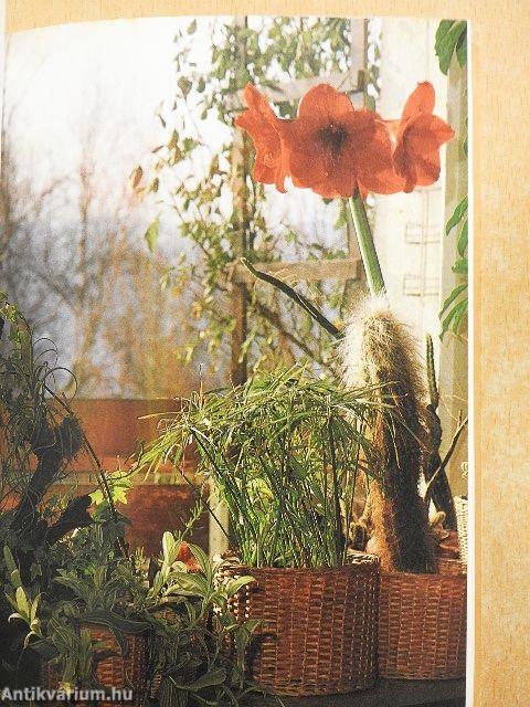 Amit nagyapáink még tudtak