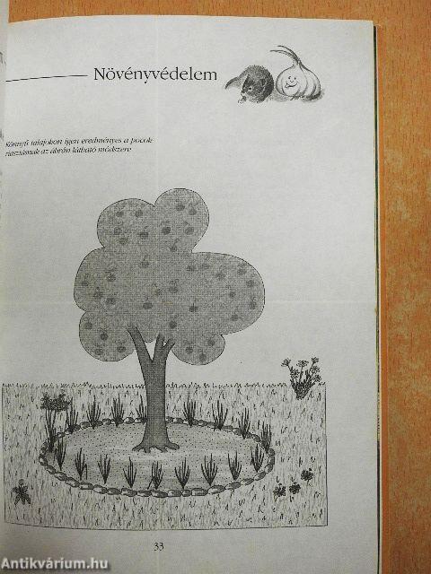 Amit nagyapáink még tudtak