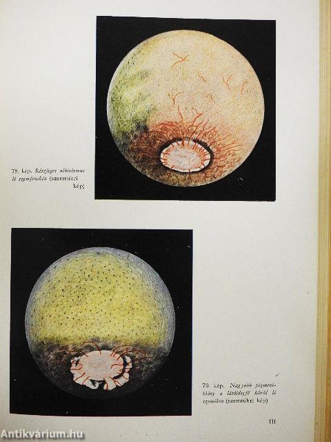Állatorvosi szemészet
