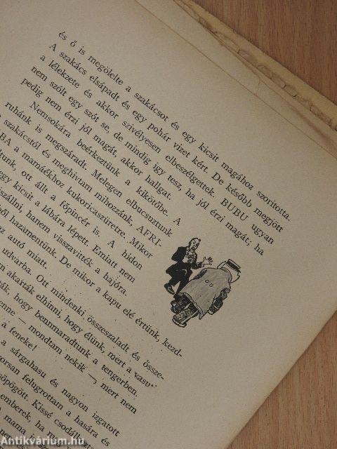 Muki és Bubu kalandjai az őserdőtől a garázsig (rossz állapotú)