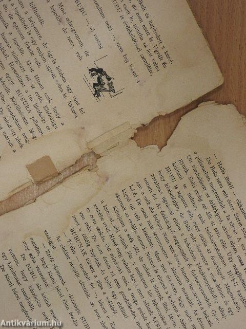 Muki és Bubu kalandjai az őserdőtől a garázsig (rossz állapotú)