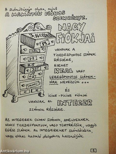 Fortran képeskönyv