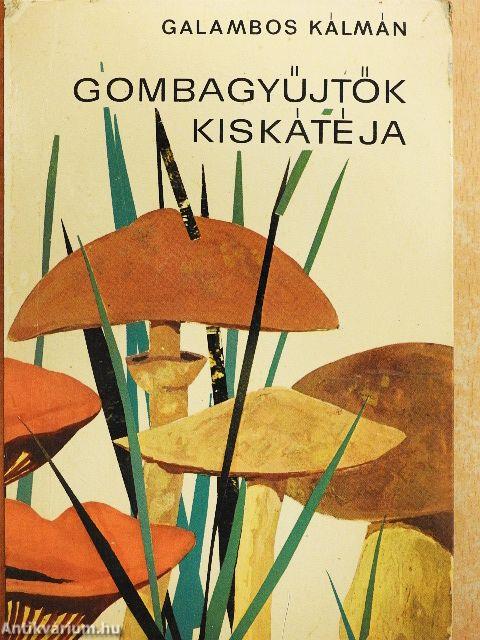 Gombagyűjtők kiskátéja