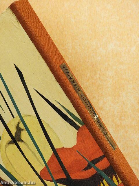 Gombagyűjtők kiskátéja