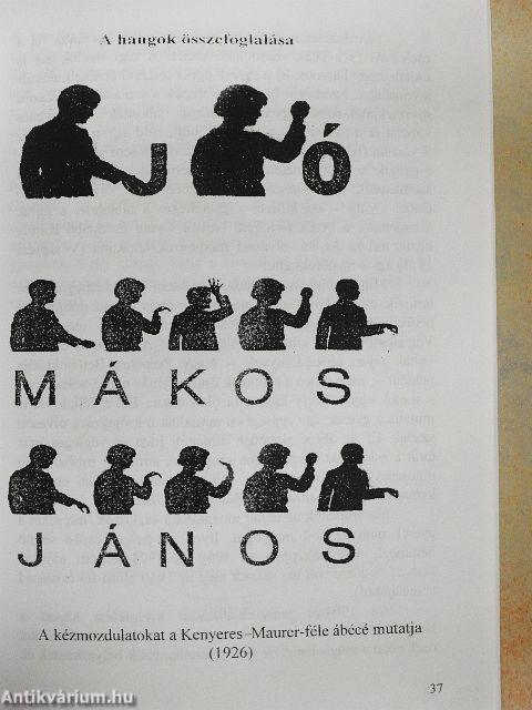 A szemléltetés évszázadai