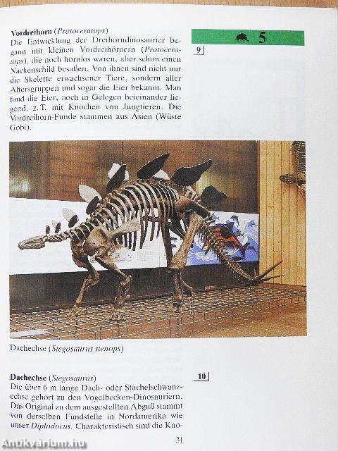 Naturmuseum Senckenberg