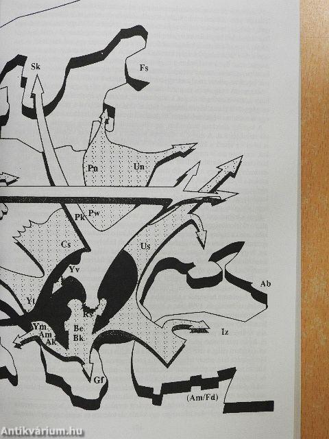 Romák, cigányok, utazók