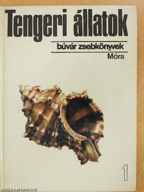 Tengeri állatok 1.