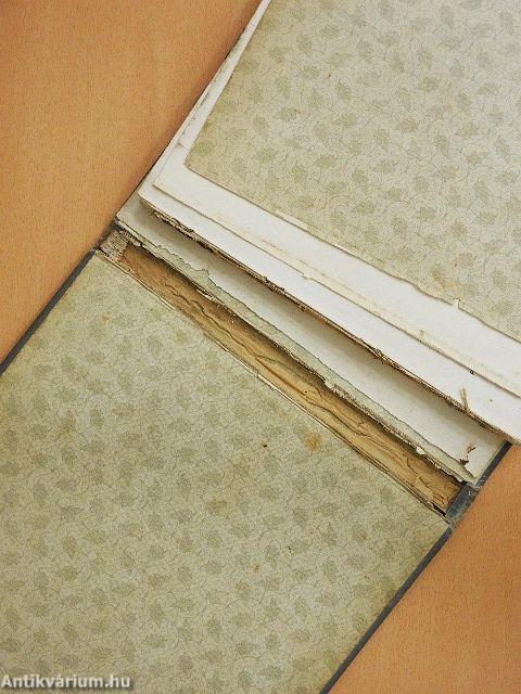 Az ezeréves Magyarország és a milleniumi kiállitás (rossz állapotú)